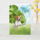 Search for jack russell dog cards Dogs