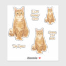 Search for ginger tabby kitten stickers Orange cat