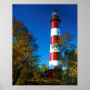 Search for assateague posters Chincoteague
