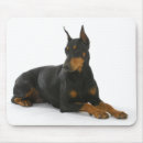 Search for doberman pinscher mousepads Puppy