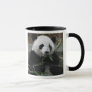Search for giant panda mugs Bamboo