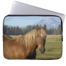 Search for chestnut cases Ranch