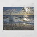 Search for caribbeans postcards Seascape