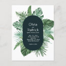 Search for foilage postcards Tropical