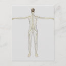 Search for nervous system postcards Digitally generated image