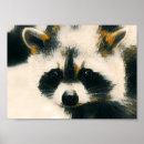 Search for funny raccoon posters Raccoons