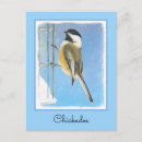 Search for chickadee postcards Bird