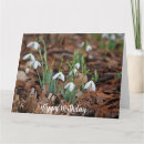 Search for snow white birthday cards Nature