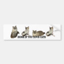 Search for panthers bumper stickers Cat