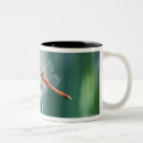 Search for dragonfly mugs Leaf