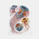 Search for haeckel Jellyfish