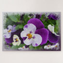 Search for pansy puzzles Purple