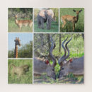 Search for african animals puzzles Travel