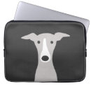 Search for iggy electronics Greyhound