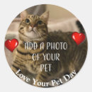 Search for pet stickers Fur baby