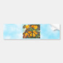 Search for monarchs bumper stickers Insects