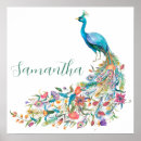 Search for peacock feather painting posters Beautiful