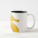 Search for sea horses mugs Wildlife