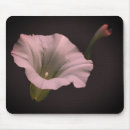 Search for morning glory mousepads Floral