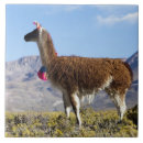 Search for herd the tiles Animal