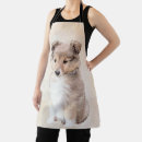Search for merle aprons Shetland sheepdog