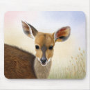 Search for antelopes mousepads Nature
