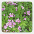 Search for delicate stickers Pink