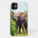 Search for cute elephant iphone cases Wildlife