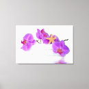 Search for reflections art Pink