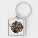 Search for the hobbit key rings Fili