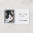 Search for cool cat business cards Pet sitter