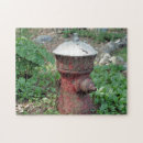 Search for fire hydrant Flower