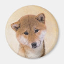 Search for inus magnets Shiba