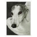 Search for safety cards Dog