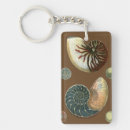Search for shell key rings Conch seashell