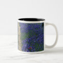 Search for near mugs Path