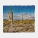 Search for arizona blankets Southwest