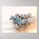 Search for sheila posters Horse