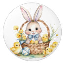 Search for fairy knobs and pulls Magical