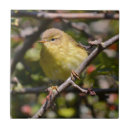 Search for trivet tiles Bird