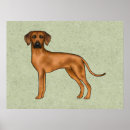 Search for lion brown posters Animal