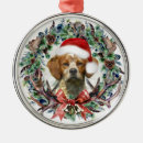 Search for brittany spaniel christmas tree decorations Epagneul breton