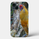 Search for roosters cases Chicken