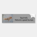 Search for squirrel bumper stickers Rodent