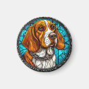 Search for beagle magnets Puppy