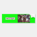 Search for feeling bumper stickers Music