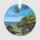 Search for finance christmas tree decorations Money