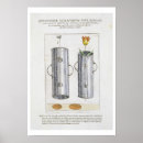 Search for device posters Flowers