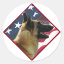 Search for belgian stickers Malinois
