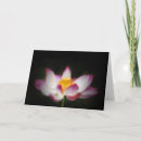 Search for massage therapist cards Lotus